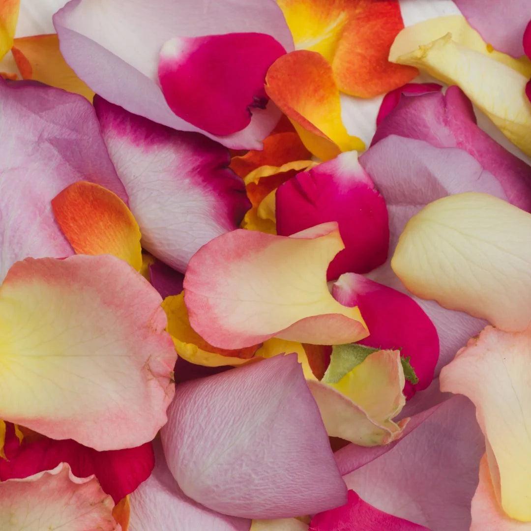 Embrace Romance: Discover the Beauty of Rose Petals Near You - The Flower Shop Atlanta