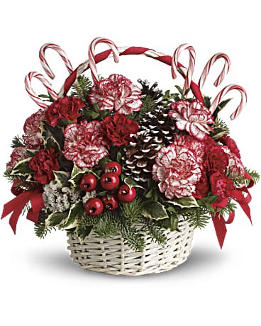 Candy Cane Christmas - The Flower Shop Atlanta
