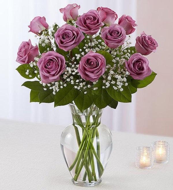 planting lavender with roses Lavender Roses Atlanta