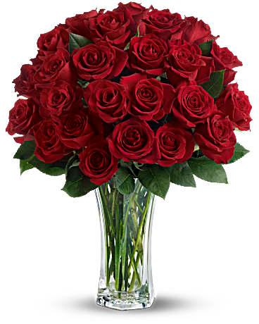 Love & Devotion Long Stem Roses - The Flower Shop Atlanta
