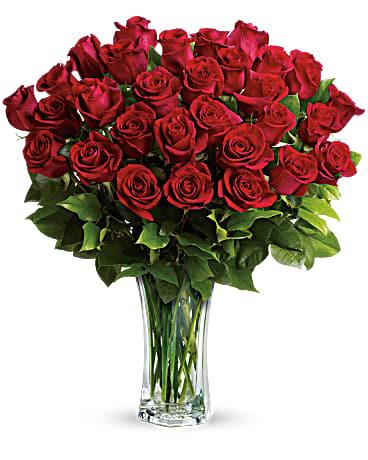 Love & Devotion Long Stem Roses - The Flower Shop Atlanta