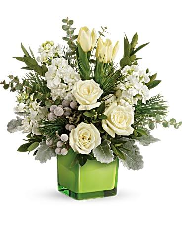 Winter Pop - The Flower Shop Atlanta