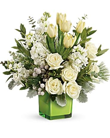 Winter Pop - The Flower Shop Atlanta
