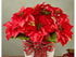 Happiest Holidays Poinsettia - The Flower Shop Atlanta