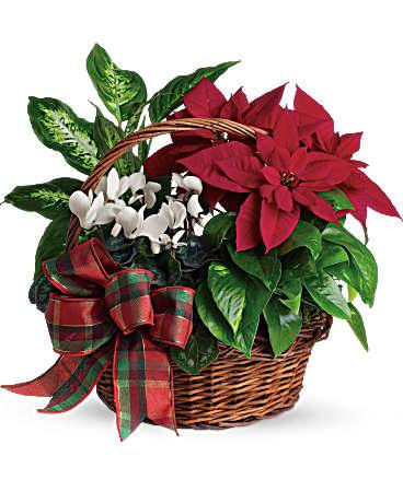 Holiday Homecoming - The Flower Shop Atlanta