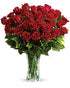Love & Devotion Long Stem Roses - The Flower Shop Atlanta