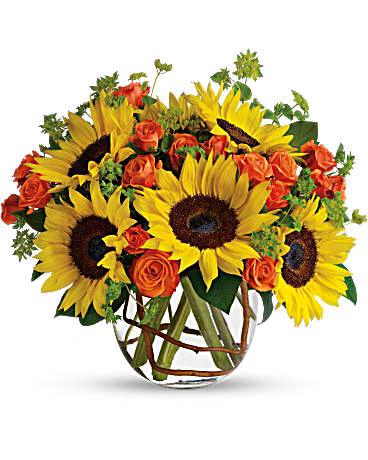 Sunny Sunflowers - The Flower Shop Atlanta