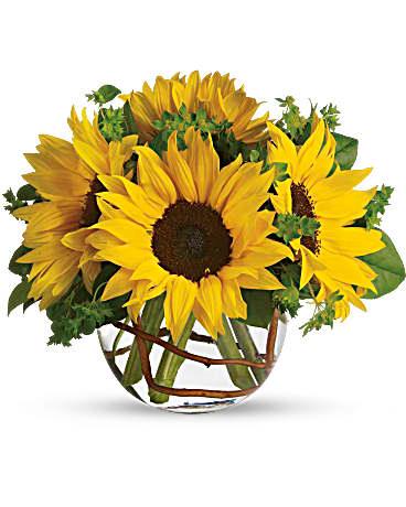 Sunny Sunflowers - The Flower Shop Atlanta