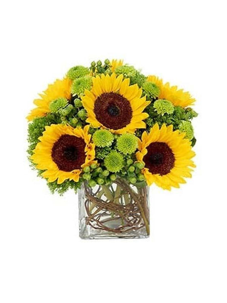 Sunny Surprise Bouquet | Six Sunflowers in Cube Vase Atlanta