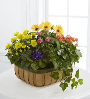 The FTD® Gentle Blossoms™ Basket - The Flower Shop Atlanta