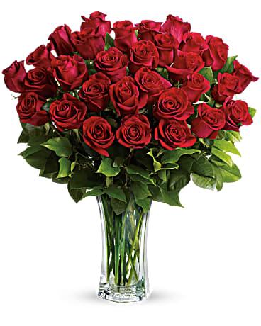 Love &amp; Devotion Long Stem Roses - The Flower Shop Atlanta
