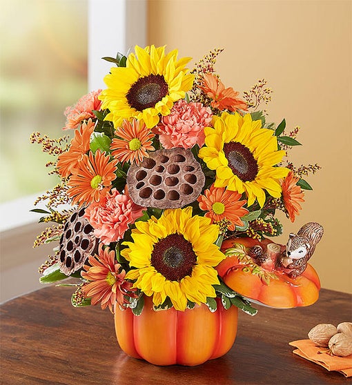 Pumpkin N&